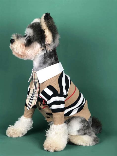 burberry dog shot|Luxury Home & Pet Accessories .